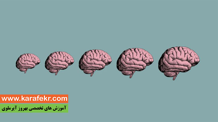 تکامل مغز کودکان
